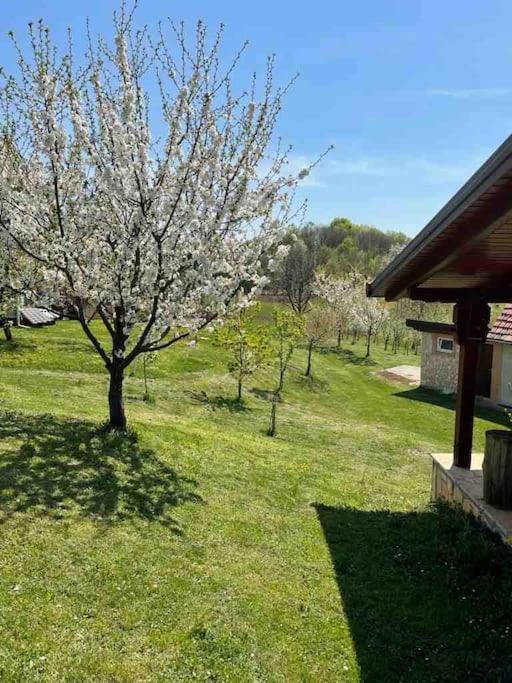Villa Doma Samobor Exteriér fotografie